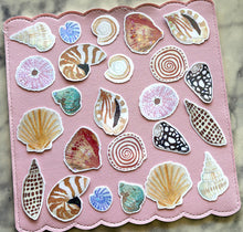 Load image into Gallery viewer, Watercolor Shells Holographic Vinyl Sticker Pack
