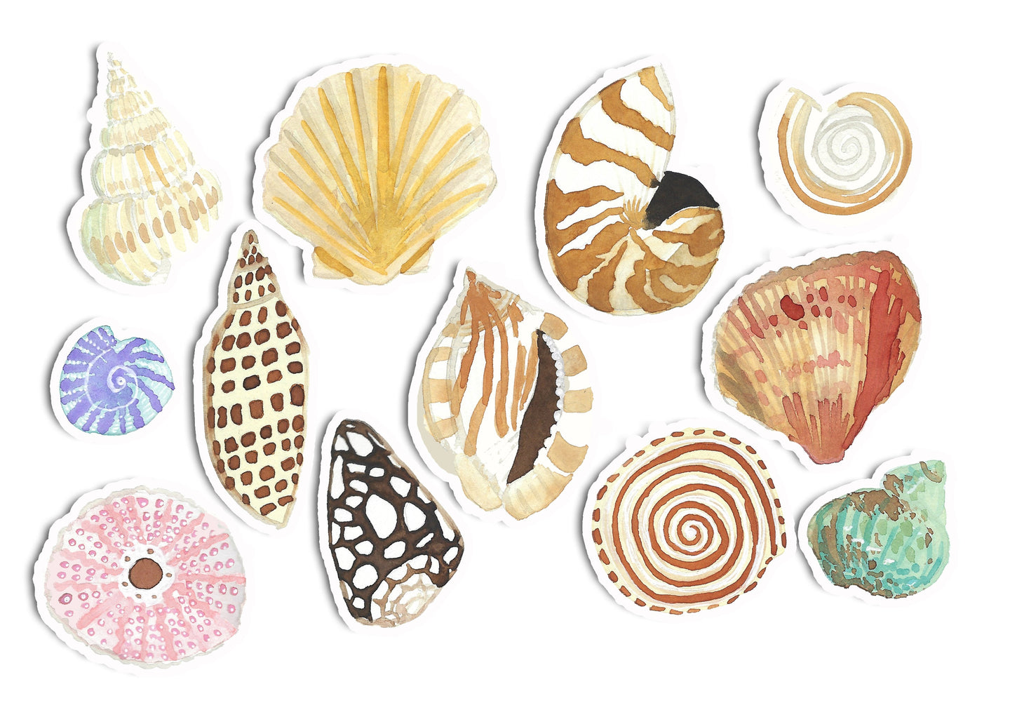 Watercolor Shells Art Sticker Set