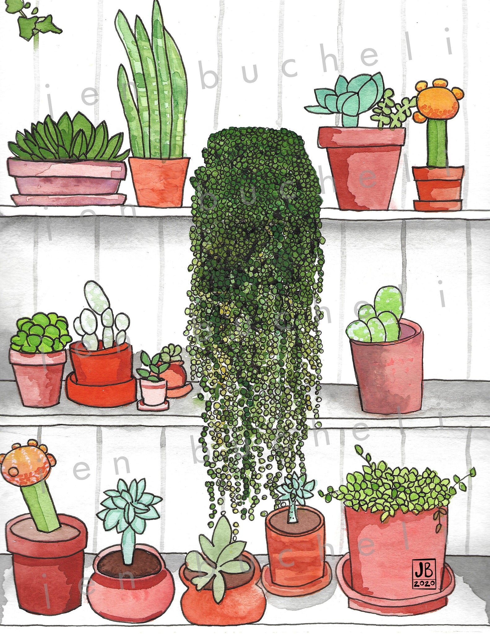 watercolor jade plant Plant Love Watercolor and Ink Print – Amaya Jade and Co