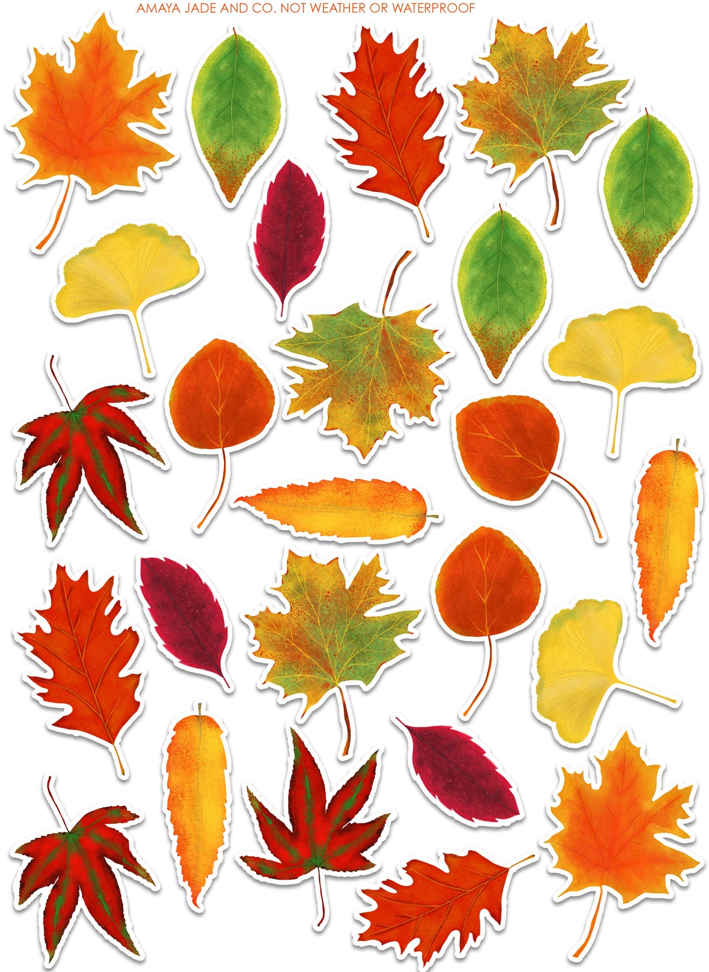 Fall Leaves Sticker Set