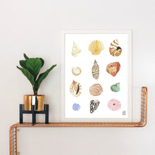 Load image into Gallery viewer, Shells Watercolor Print
