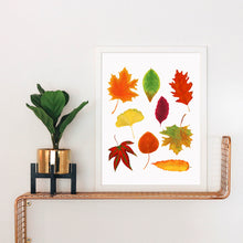 Load image into Gallery viewer, Fall Leaves Art Print
